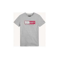 T-shirty z krótkim rękawem Dziecko Tommy Hilfiger KB0KB04681 ESSENTIAL GRAPICH. Szare t-shirty chłopięce TOMMY HILFIGER, bez wzorów, z krótkim rękawem. Za 135,22 zł.