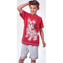 Chłopięca piżama Hipster. Bielizna chłopięca Lenny Sky, z nadrukiem, z bawełny. Za 69,99 zł.