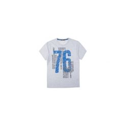 T-shirt męski. Szare t-shirty męskie TXM, m, bez wzorów, bez kołnierzyka. Za 24,99 zł.