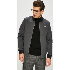 Lacoste - Bluza. Szare bluzy męskie marki Lacoste, s, z elastanu, bez kaptura. W wyprzedaży za 539,90 zł.