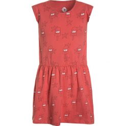 Sukienki dziewczęce: La Queue du Chat LOLLIPOP DRESS Sukienka z dżerseju coral