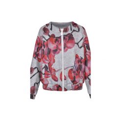 Kurtka Susanna orchid. Fioletowe kurtki damskie Cool me, s, z nadrukiem, z dzianiny, bez kaptura. Za 349,00 zł.