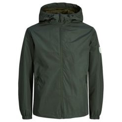 Jack&Jones Męska kurtka Glave Light Śledź Jack et Sts Forest Night (rozmiar S). Płaszcze męskie Jack&Jones, s, bez wzorów, bez kaptura. W wyprzedaży za 181,00 zł.