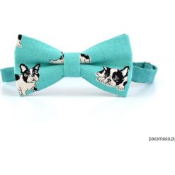 Dogue. Turkusowa mucha w buldogi. Niebieskie muchy męskie Pakamera, z tkaniny, eleganckie. Za 69,00 zł.