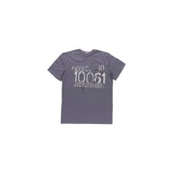T-shirty męskie: t-shirt męski gładki, z printem