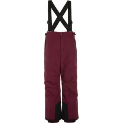 Chinosy chłopięce: Jack Wolfskin SNOW RIDE TEXAPORE Spodnie narciarskie garnet red
