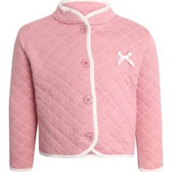 Sanetta fiftyseven JACKET BABY GOTS Bluza rozpinana powder rose. Czerwone bluzy dziewczęce rozpinane marki Sanetta fiftyseven, z bawełny. W wyprzedaży za 135,20 zł.