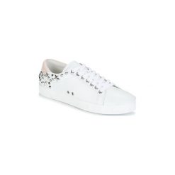 Buty Ash DAZED. Białe trampki i tenisówki damskie Ash, bez wzorów, bez zapięcia. Za 364,50 zł.