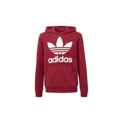 Bluzy chłopięce: Bluzy Dziecko adidas Bluza z kapturem Trefoil