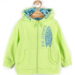 Bluza. Zielone bluzy chłopięce marki SUMMER SURVIVAL, z aplikacjami, z bawełny, z długim rękawem, długie, z kapturem. Za 49,90 zł.