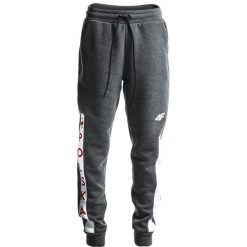 Joggery męskie: Spodnie dresowe męskie Polska Pyeongchang 2018 SPMD901 – szary melanż