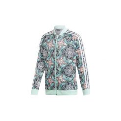 Bluzy dresowe Dziecko adidas Bluza dresowa Zoo SST. Szare bluzy dziewczęce Adidas, z dresówki. Za 199,00 zł.