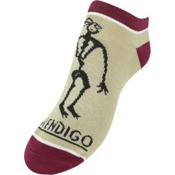 Supernatural Wendigo Skarpetki wielokolorowy. Szare skarpetki damskie Supernatural. Za 24,90 zł.