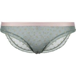 Figi: LOVE Stories FIRECRACKER Figi agave green