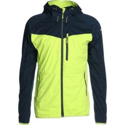 Kurtki sportowe męskie: Icepeak SILVAIN Kurtka Softshell light green