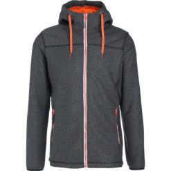 Kurtki sportowe męskie: Icepeak KIRK Kurtka z polaru lead grey
