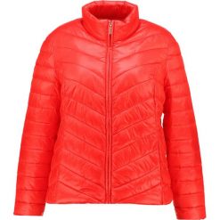 Bomberki damskie: Dorothy Perkins Curve PACK Kurtka przejściowa red