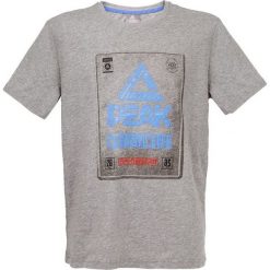 T-shirty męskie: PEAK T-SHIRT MĘSKI szary r. XL F652125