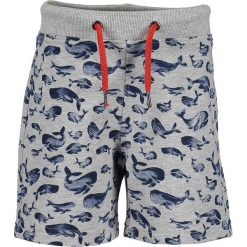 Blue Seven - Szorty dziecięce 92-128 cm. Szare spodenki chłopięce Blue Seven, bez wzorów, z bawełny. Za 44,90 zł.