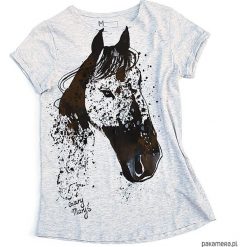 Bluzki damskie: Bluzka kobieca M z koniem Appaloosa