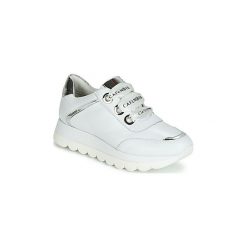 Buty Café Noir DB151. Białe trampki i tenisówki damskie marki Café Noir, bez wzorów, bez zapięcia. Za 569,00 zł.