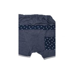 Shortz Anchor. Szare spodenki i szorty męskie marki Taff.one, s, bez wzorów. Za 179,00 zł.
