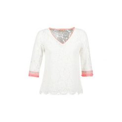 Bluzki damskie: Bluzki Moony Mood ERGAN