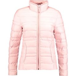 Kurtki damskie: s.Oliver RED LABEL Kurtka puchowa reek rose