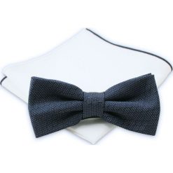 Stylowa mucha + poszetka - Chattier MUCH0268. Niebieskie muszki męskie Chattier, w paski, eleganckie. Za 44,00 zł.