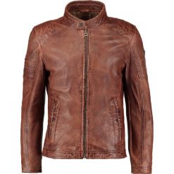 Kurtki męskie bomber: Gipsy Kurtka skórzana dark cognac