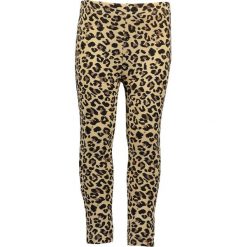 Blue Seven - Legginsy dziecięce 92-128 cm. Brązowe spodnie dziewczęce Blue Seven, bez wzorów, z elastanu. Za 49,90 zł.