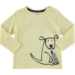 T-shirty chłopięce z długim rękawem: Koszulka w kolorze żółto-białym