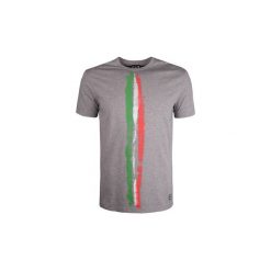 T-shirty z krótkim rękawem Armani 27396 06P237. Szare t-shirty męskie Armani, s, bez wzorów, bez kołnierzyka, krótkie. Za 199,00 zł.