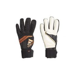 Rękawiczki damskie: Rękawiczki adidas Rękawice Predator 18 Pro