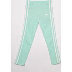 Adidas Originals - Legginsy dziecięce 128-170 cm. Zielone spodnie dziewczęce marki adidas Originals, bez wzorów, z elastanu. W wyprzedaży za 89,90 zł.