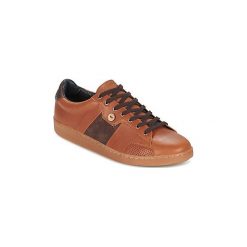 Tenisówki męskie: Buty Faguo HOSTA32
