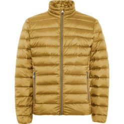 Geox - Kurtka. Brązowe kurtki męskie bomber Geox, m, z materiału. W wyprzedaży za 679,90 zł.