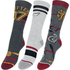 Pończochy i rajstopy: Harry Potter Quidditch Pończochy wielokolorowy