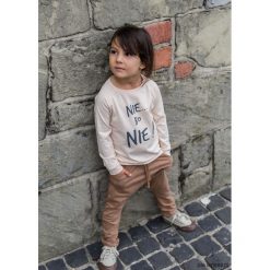Bluzka Adi Linen Nie...bo Nie. Szare t-shirty chłopięce z długim rękawem marki Pakamera, z nadrukiem. Za 60,00 zł.