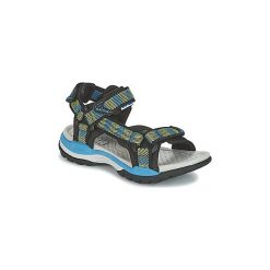 Buty sportowe chłopięce: Sandały sportowe Dziecko Geox J BOREALIS B. F