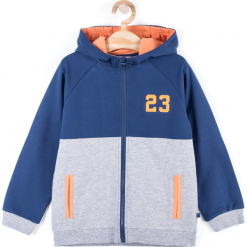 Bluza. Niebieskie bluzy chłopięce marki TEAM PLAYER, z aplikacjami, z bawełny, z długim rękawem, długie, z kapturem. Za 49,90 zł.
