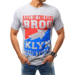 T-shirty męskie z nadrukiem: T-shirt męski z nadrukiem szary (rx2464)