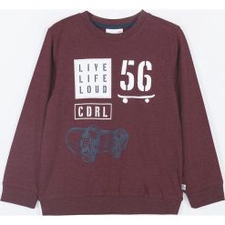 Coccodrillo - Longsleeve dziecięcy 92-122 cm. Brązowe t-shirty chłopięce COCCODRILLO, z nadrukiem, z dzianiny, z długim rękawem. Za 45,90 zł.