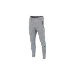 Spodnie treningowe 4F Men's Pants H4Z17-SPMD003GREY. Szare spodnie męskie 4f, s, bez wzorów. Za 119,99 zł.