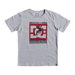 DC Koszulka Chłopięca Visual Tre Ss 140 Szara. Szare t-shirty chłopięce DC, z nadrukiem, z bawełny, bez rękawów. Za 105,00 zł.