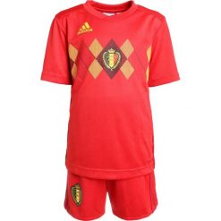 Adidas Performance RBFA BELGIUM HOME MINI SET Krótkie spodenki sportowe vivred/powred/bogold. Czerwone spodenki chłopięce adidas Performance, z materiału, sportowe. Za 279,00 zł.
