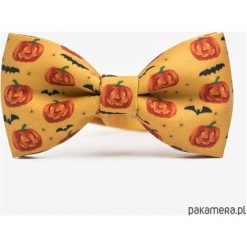 Muchy męskie: Mucha PUMPKINS