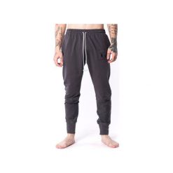 Męski panelled spodnie 17. Szare spodnie męskie Theg clothing, s, bez wzorów, z bawełny. Za 326,00 zł.