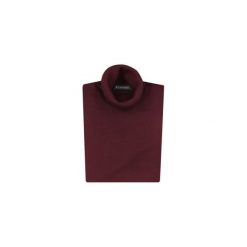 Bordowy golf męski SW14. Czerwone swetry męskie Lanieri Fashion - swetry męskie, m, bez wzorów, z wełny, casualowe, z golfem, bez kaptura. Za 134,10 zł.