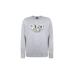 Bluzy Roberto Cavalli S01GU0061. Szare bluzy męskie Roberto Cavalli, s, bez wzorów, bez kołnierzyka, bez rękawów, bez kaptura. Za 459,00 zł.